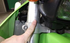 KAWASAKI KLX250 2026 LX250E
