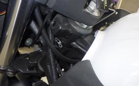 KAWASAKI Z250 2021 ER250C