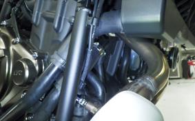 YAMAHA TENERE 700 2026 DM13J