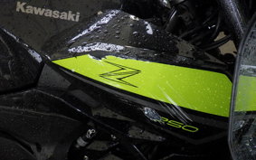 KAWASAKI Z250 Gen.2 2001 EX250P