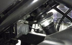YAMAHA FZ250