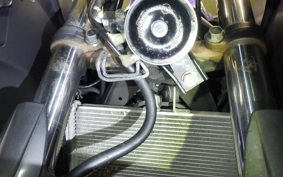 YAMAHA YZF-R25 RG43J