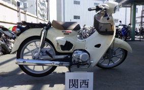 HONDA C110 SUPER CUB 2024 JA59