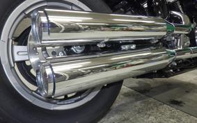 HARLEY FXST1750 2024