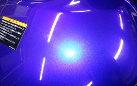 YAMAHA YZF-R25 2010 RG43J