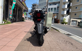SUZUKI STROM 250 DS11A