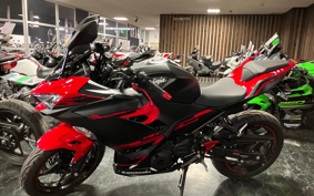 KAWASAKI Ninja 250 ABS EX250P