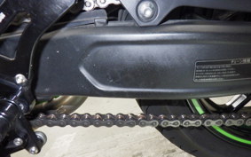 KAWASAKI ZX-4RR 2023 ZX400P