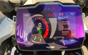 TRIUMPH TIGER 1200GT PRO 2024 TAP22V