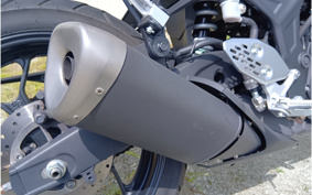 YAMAHA MT-25 RG10J