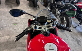DUCATI 1199PANIGA-RES 2013