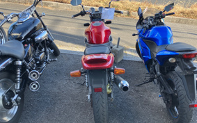 YAMAHA ZEAL 3YX