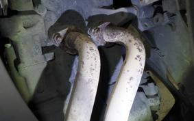 YAMAHA YZF-R25 A RG10J