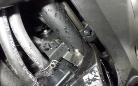 KAWASAKI Z250 Gen.2 2001 EX250P