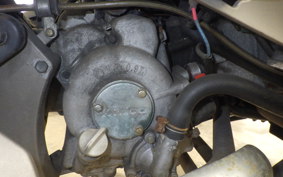 KYMCO XCITING 250