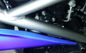 KAWASAKI Z250 SL 2021 BR250E