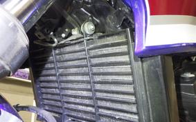 HONDA CB400 SUPER BOLDOR A 2021 NC42