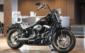 HARLEY FLSTSB 2008 JM5