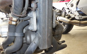 KAWASAKI KLX250 1983 LX250E