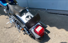 HARLEY  HARLEY FXDL 100TH 2001 GDV