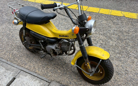 SUZUKI VAN VAN75 RV75