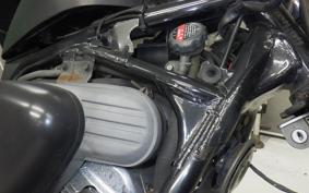 HONDA STEED 400 2025 NC26