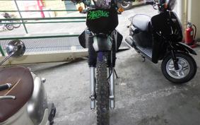 KAWASAKI KLX250 ES Type LX250E