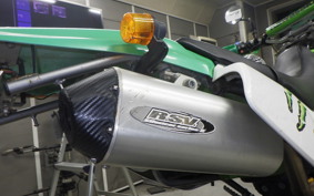 KAWASAKI KLX250 2022 LX250E