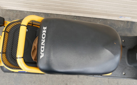 HONDA ZUMAR AF58