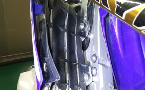 YAMAHA WR250R 2021 DG15J