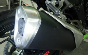 KAWASAKI NINJA 250 EX250L