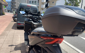 HONDA  FORZA 250 MF17