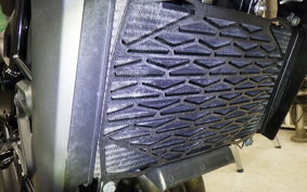 KAWASAKI ELIMINATOR400-3SE 2023 EL400A