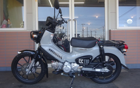 HONDA CROSS CUB JA60