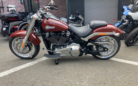 HARLEY  HARLEY FLFBS 2025 YGK