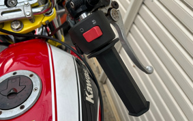 SUZUKI GSX250 ZR250C