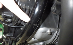 KAWASAKI Z1000 R 2009