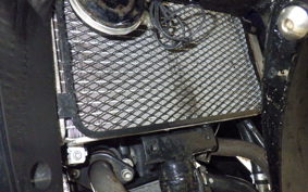 SUZUKI GSX250R