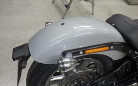 HARLEY FXST1750 2025