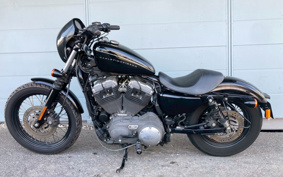 HARLEY HARLEY XL1200N 2010 CZ3