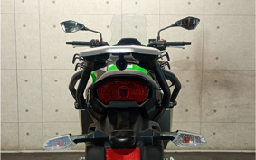 KAWASAKI VERSYS-X 250 ABS LE250D
