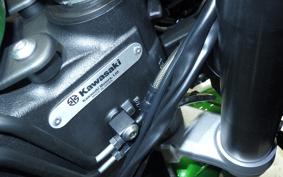 KAWASAKI NINJA 1100SX SE 2025 ZXT10H