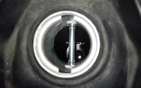 HONDA PCX125 2006 JF28