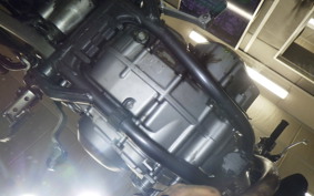 KAWASAKI SUPER SHERPA 1999 KL250G