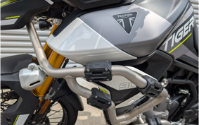 TRIUMPH TIGER 900 RALLY PRO 2024 TRE67D