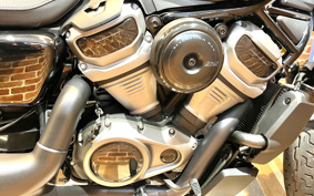 HARLEY  HARLEY RH975 NIGHT  STAR  2022 ZH1