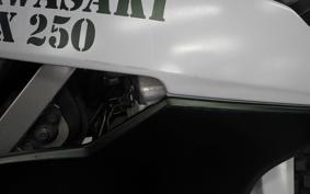 KAWASAKI KLX250 Gen.2 LX250S
