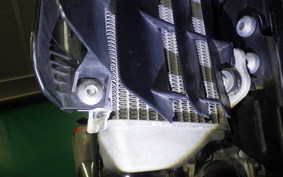 YAMAHA WR250X 2021 DG15J