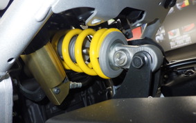 YAMAHA XSR900 GP 2024 RN96J