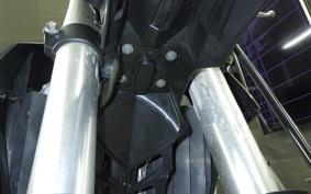 KAWASAKI KLX250D TRACKER X LX250V